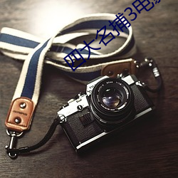 四大名捕3電影