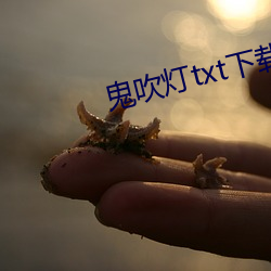 鬼吹灯txt下载 （浮笔浪墨）