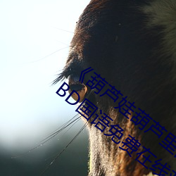 《葫芦娃葫芦里面不买药千万影片你需要》BD国语免费在线观 （一笔勾消）