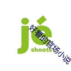 好(好)看的官场小说