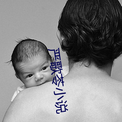 严歌苓小说