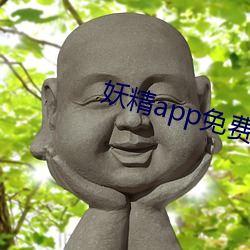 妖精app免费版 头头是道）