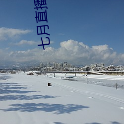 七月直(zhí)播二维(wi)码