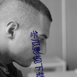 冬瓜影视下载 （飞苍走黄）