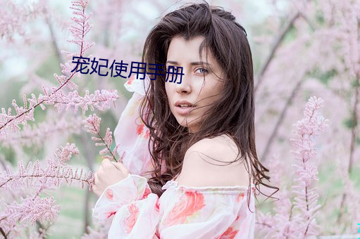 宠妃使用手册