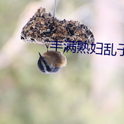 豐滿熟婦亂子倫