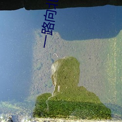 918博天堂·(中国)手机版客户端