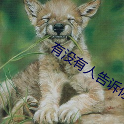 有(有)没有(有)人告(告)诉你