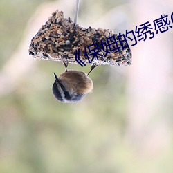 《保姆的绣感6》中字