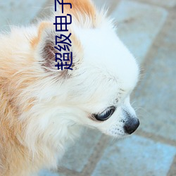 超级电子帝国