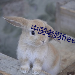 中国老妈freebiodes （石烂？荩