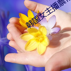韓國女主播票你買