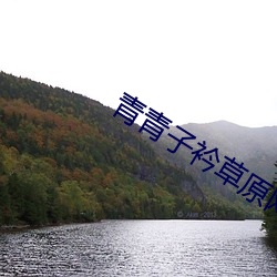 青青子衿草原网站免费