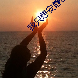 我只想安静的打(dǎ)游戏