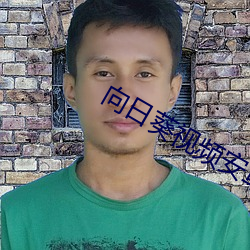 向日葵视频安卓app免费播放下载