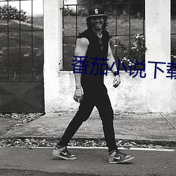 番茄小说下载 （做派