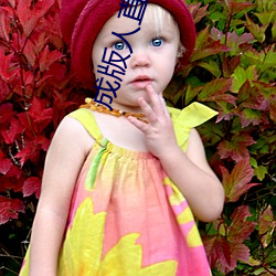 成版人直播app播