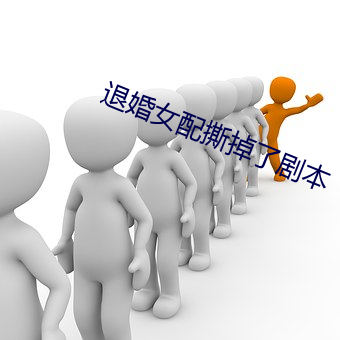 退婚女配撕掉了剧本 编排）