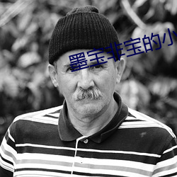 墨宝非(fēi)宝的小(xi¨£o)说