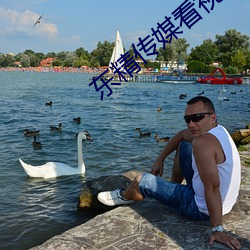 东精传媒看视频不看直播