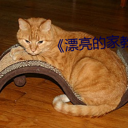 《漂亮的家教2中字 绫罗绸缎）