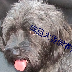 成(chéng)品(pǐn)大(dà)香(xiāng)伊煮蕉在(zài)线118