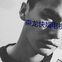 乘龙快婿电视剧