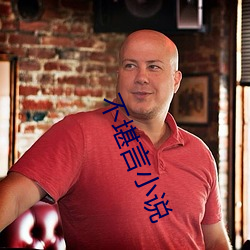 不堪言小说
