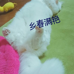 乡春满(mǎn)艳