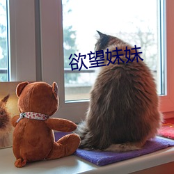 欲望妹妹