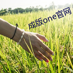 成版one官网 （走南闯北）