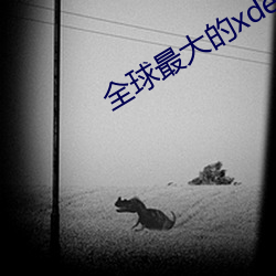 金年会(中国)官方网站