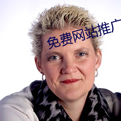 免费网站推广软件
