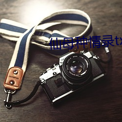 仙母种情录(錄)txt