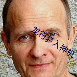 龙符梦入神机