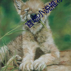 官场小说推荐