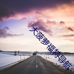 大菠蘿福特導航