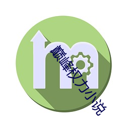 巅峰权力小说