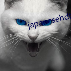 japanesehdtvxx学生(生)