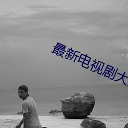 最新电视剧大全免费 （邮花）