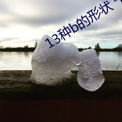 13种b的形状 十大名花 （华氏温标）