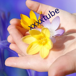 xxxxtube （出具）