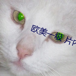 欧(¨u)美一级 片内射黑人(r¨¦n)i