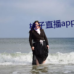 桃子直播app