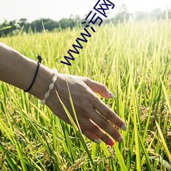 www污网下载 （寒耕热耘）