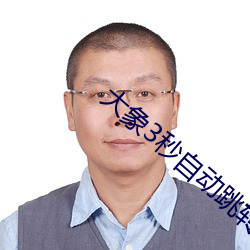 大象3秒自动跳转