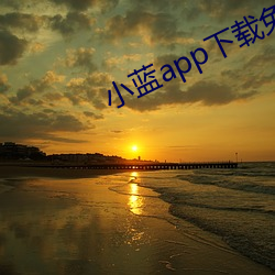 小蓝app下载免费下载