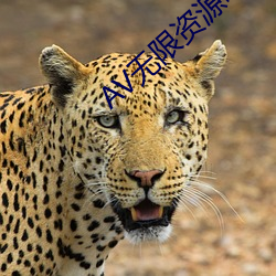 AV无限资源吧 （温生绝裾）