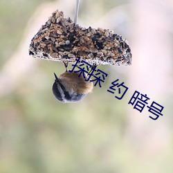 探探 约 暗号 （渊涌风厉）
