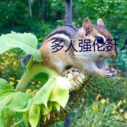 尊龙凯时·(中国)官方网站